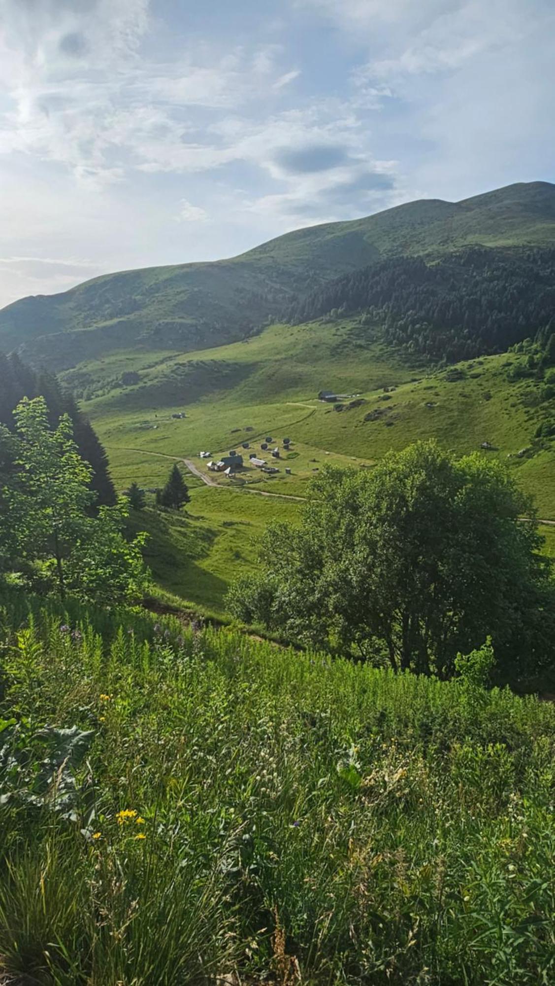 Rural Household Janketic Kolasin Exterior photo